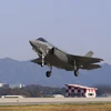 Máy bay chiến đấu F-35A. (Ảnh: AFP/TTXVN)