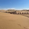 Trải nghiệm cưỡi lạc đà trên sa mạc Vọng Âm tại Nội Mông luôn vô cùng hấp dẫn đối với các du khách ưa trải nghiệm, khám phá. (Ảnh: Vietnam+)