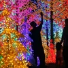 [Photo] Rực rỡ ánh đèn đón Giáng sinh trên khắp thế giới