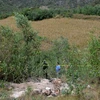 Mexico phát hiện nhiều thi thể bị sát hại dã man ở hố chôn tập thể