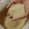 Hàn Quốc: Tiêu thụ gạo bình quân đầu người giảm kỷ lục