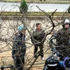 [Photo] Đào rừng Lai Châu tấp nập xuống phố phục vụ Tết nguyên đán