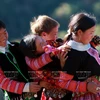 [Photo] Quả pao- "Món quà Valentine" truyền thống của người Mông