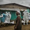WHO quyết tâm kiểm soát và tiêu diệt căn bệnh chết người Ebola