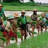 Myanmar phê chuẩn khoản vay từ WB để phát triển nông thôn