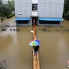 Sinh viên của Trường Đại học Khoa học và Công nghệ Nam Kinh phải xây nhiều cầu tạm nối các tòa nhà với nhau. Mưa lớn kéo dài khiến trường học bị chìm trong nước lũ. (Nguồn: CCTVNews)
