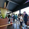 Hàng trăm người dân Nhật Bản và du khách đã tới vườn thực vật Jindai ở thủ đô Tokyo để chiêm ngưỡng cây xác thối (còn gọi là cây chân bê Titan) khổng lồ nở hoa. (Nguồn: AFP/TTXVN)
