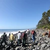 Các nhân viên bảo vệ môi trường và bờ biển tiếp tục tìm kiếm mảnh vỡ máy bay MH370 trên đảo Reunion ngày 10/8. (Nguồn: AFP/TTXVN) 