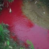 Điện Biên: Dân lo lắng vì Suối Nậm Khếnh chuyển sang màu đỏ