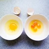 Một người phụ nữ ở Tây An, Thiểm Tây, Trung Quốc đã rất kinh ngạc sau khi thấy quả trứng có 4 lòng đỏ. 