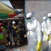 Nhân viên y tế chuyển thi thể một nạn nhân thiệt mạng do Ebola tại Monrovia, Liberia ngày 5/1/2015. (Nguồn: AFP/TTXVN) 