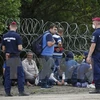 Người di cư bị bắt giữ tại khu vực biên giới Hungary-Serbia ngày 15/9. (Nguồn: Reuters/TTXVN)