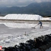 Vào mùa thu hoạch, đồng muối Hòn Khói trông như ngọn núi phủ đầy tuyết trắng. (Ảnh: Tất Sơn/Báo ảnh Việt Nam)