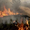 Binh sỹ Indonesia tham gia dập các đám cháy từng tại Ogan Ilir, tỉnh Nam Sumatra ngày 30/9. (Reuters/TTXVN)