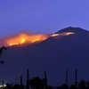 Cảnh cháy rừng ở Java. (Nguồn: AFP)