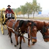 Một người đàn ông Trung Quốc đã trở nên nổi tiếng khi đánh chiếc xe ngựa do mình làm có thiết kế giống xe ngựa của Nữ hoàng Anh đi khắp thị trấn.