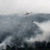 Máy bay trực thăng MI-17 tham gia dập lửa cháy rừng tại Ogan Komering Ilir, tỉnh Nam Sumatra ngày 17/10. (Nguồn: AFP/TTXVN) 