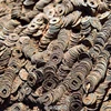 Trung Quốc phát hiện hơn 10 tấn tiền cổ 2.000 năm tuổi.