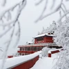 Tuyết phủ trắng đỉnh núi Panshan ở Thiên Tân, miền Bắc Trung Quốc ngày 24/11. (Nguồn: THX/TTXVN) 