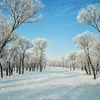 Ngày 7/12, một cơn tuyết đã rơi xuống tỉnh Sơn Tây (Trung Quốc) tạo nên một cảnh tượng trắng xóa kỳ ảo của mùa Đông.