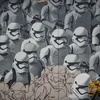 Nghệ sỹ Artur Kashak đang vẽ bức tranh graffiti về Star Wars.