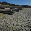 Hồ Folsom ở Sacramento, Mỹ khô cạn và nứt nẻ do hạn hán. (Nguồn: AFP/TTXVN) 