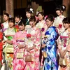 Các thiếu nữ Nhật Bản trong trang phục kimono truyền thống duyên dáng thực hiện một nghi thức tại lễ trưởng thành ở đền Meiji, thủ đô Tokyo ngày 8/1. 