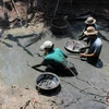 Đánh bắt cá đồng bằng điện ở Cà Mau. (Ảnh: Huỳnh Thế Anh/TTXVN)