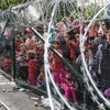 Người di cư và tị nạn tại khu vực hàng rào biên giới giữa Hungari và Serbia. (Nguồn: AFP/TTXVN) 