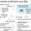 Cách tự bảo vệ để tránh virus Zika