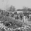 Người dân Thủ đô dạo chơi ngày xuân trong công viên Thống Nhất, Tết Quý Mão 1963. 