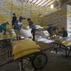 Chế biến gạo xuất khẩu tại Công ty Lương thực Đồng Tháp. (Ảnh: Vũ Sinh/TTXVN) 