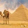 Ai Cập nỗ lực vượt qua các thách thức kinh tế-chính trị