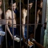 Những người tù ở trại giam La Joya của Panama bị nhốt vào các phòng tạm giam mà không qua xét xử.
