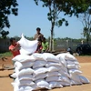 Tập kết gạo chuẩn bị cấp phát cho người dân. (Ảnh: Ngọc Minh/TTXVN) 
