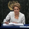 Tổng thống Brazil Dilma Rousseff. (Nguồn: AFP/TTXVN)