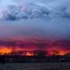 Cháy rừng ở Canada