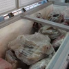 Bắt giữ hơn 6 tấn thịt thối chuẩn bị vào bếp ăn