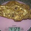 Khối vàng nặng 4.1kg. (Nguồn: mining.com)