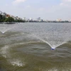 Hà Nội tăng cường kiểm tra quản lý các hồ nước
