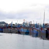  Quảng Ninh yêu cầu tàu thuyền khẩn trương tìm nơi trú bão