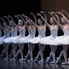 Đắm mình trong những vũ điệu ballet đẹp nhất thế giới