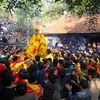  Hàng trăm người chen nhau để cướp lộc hoa tre tại lễ Hội Gióng đền Sóc. Ảnh: Quý Trung – TTXVN 