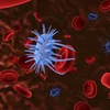 Virus tiêu diệt tế bào ung thư - Bước ngoặt lớn của nhân loại