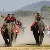 Không khí tưng bừng và náo nhiệt Lễ Hội đua voi tại Đắk Lắk