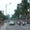 [Video] Cải tạo cây xanh và câu chuyện quản lý đô thị tại Hà Nội