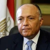 Bộ trưởng Ngoại giao Ai Cập Sameh Shoukry Hassan. (Nguồn: msnbc.me)