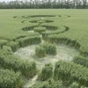 Dấu vết của người ngoài hành tinh xuất hiện tại một cánh đồng lúa ở công hòa Adygea. (Nguồn: rt.com)