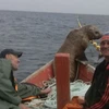 Andrey Permyakov và người bạn đồng hành đang ra khơi trên một chiếc thuyền thì bỗng nghe thấy một tiếng động lạ. Cả 2 đã khá bất ngờ khi biết âm thanh đó được tạo ra bởi một chú hải cẩu đang cố gắng leo lên thuyền để du hành cùng họ. (Nguồn: rt)