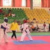 Các võ sỹ Taekwondo Việt Nam đã thi đấu không thành công và trắng tay trong cuộc đua giành vé tham dự Olympic.